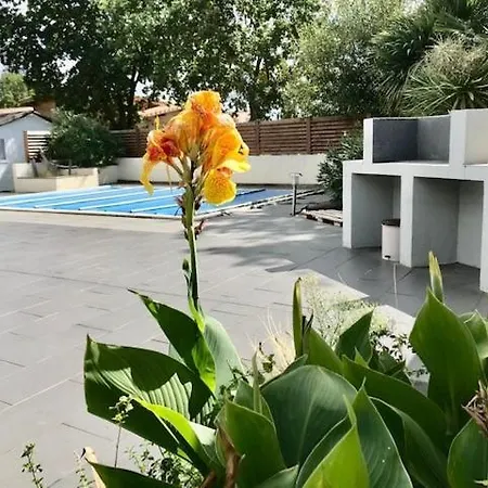 Maison Piscine 4 Ch Medoc Bassin Arcachon