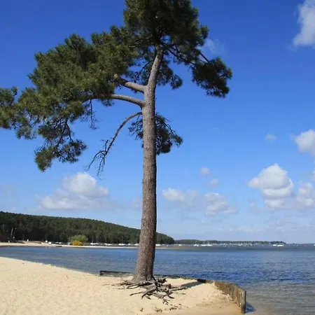 Piscine 4 Ch Entre Medoc Et Bassin Arcachon