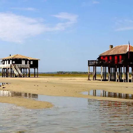 Maison Piscine 4 Ch Medoc Bassin Arcachon