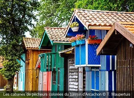 Maison Piscine 4 Ch Medoc Bassin Arcachon * Carcans