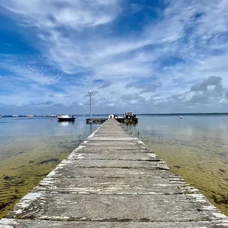 Maison Piscine 4 Ch Medoc Bassin Arcachon Σπίτι διακοπών