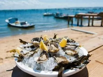 Casa de Férias Maison Piscine 4 Ch Medoc Bassin Arcachon *